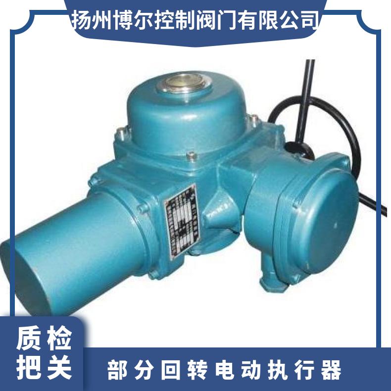 DQW部分回转阀门电动执行器 900NM智能型装置