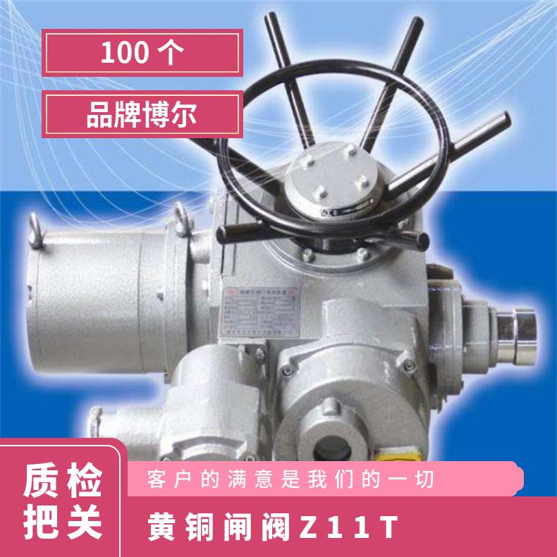 DZW350-18W/ZT 500-W 闸阀执行机构 法兰 HZ45 水 否 博尔