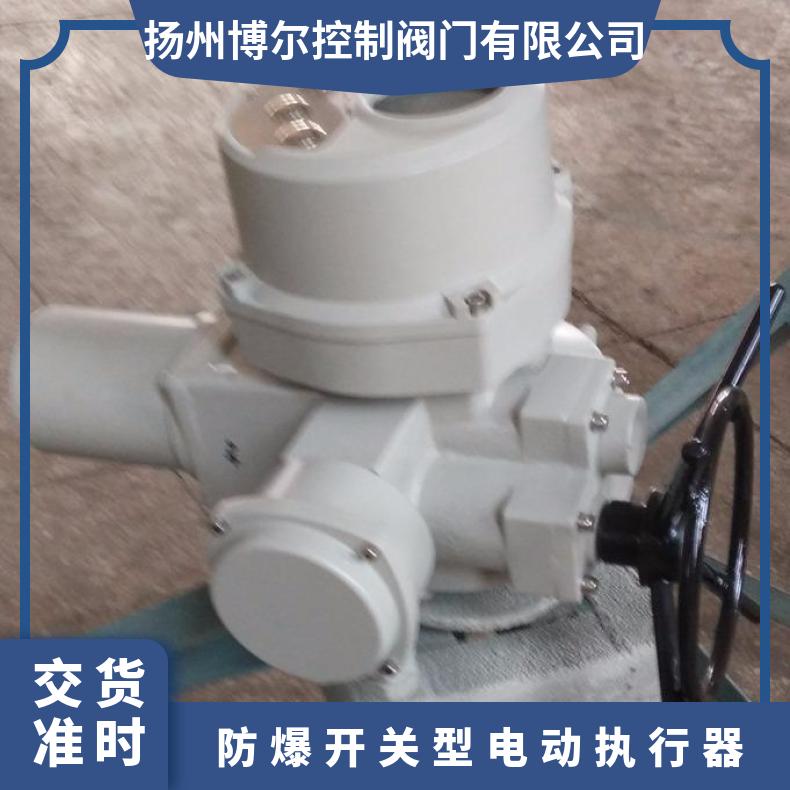 DQW250开关型阀门电动装置 阀门厂执行器 2SQ30DKJ/ZKJ 其他博尔