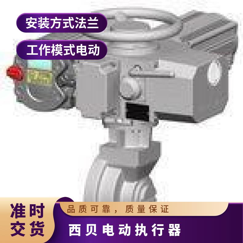 西贝头AB8E20+LE50.1 可以加工 电动执行器 法兰 其他博尔