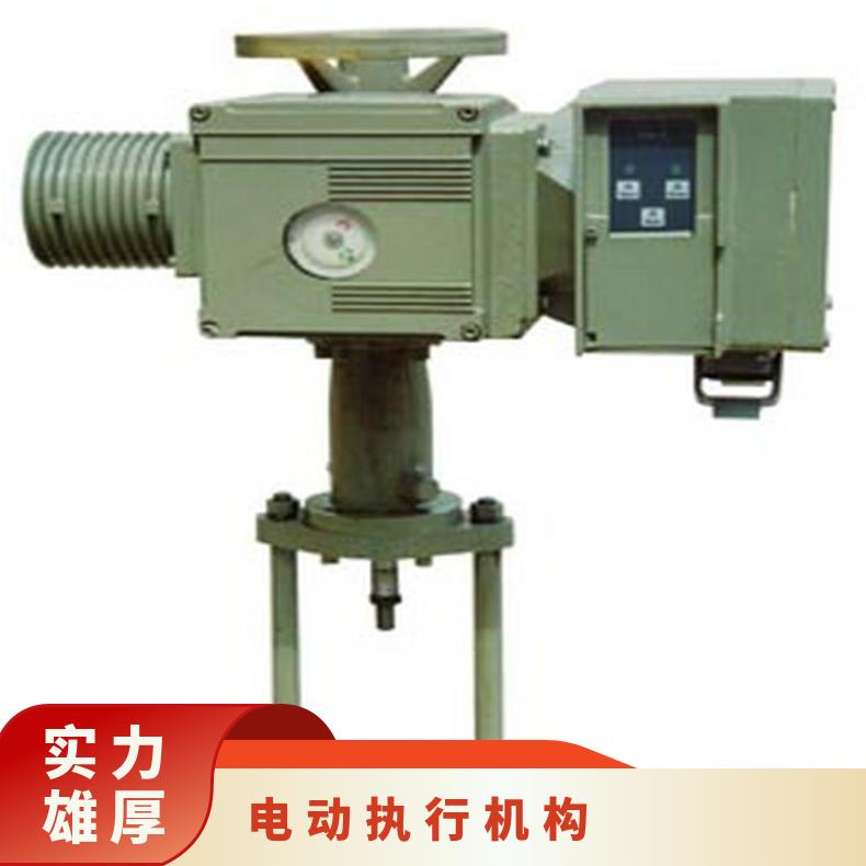 2SA3032多回转电动执行机构 可以加工 5kg~500kg 法兰 其他博尔