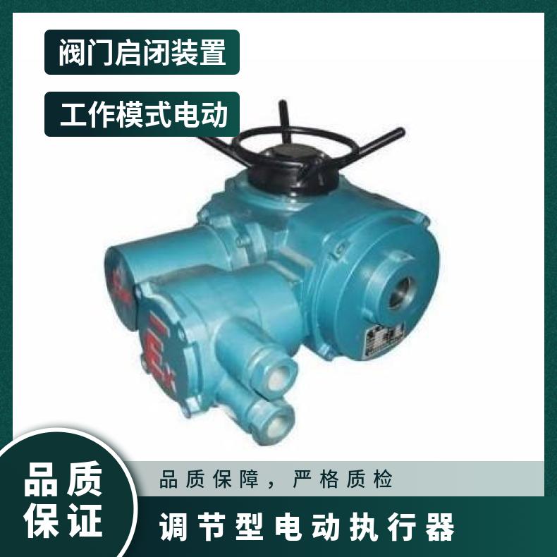 DZT多回转智能调节型电动执行机构DZW10- ZB/QBDZBDQB 其他博尔