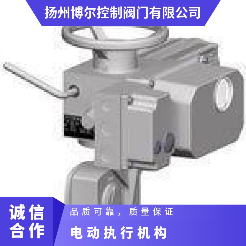 西贝电动执行器rAB8E20+LE50.1 5kg~500kg 其他博尔 DZW/ZWZB