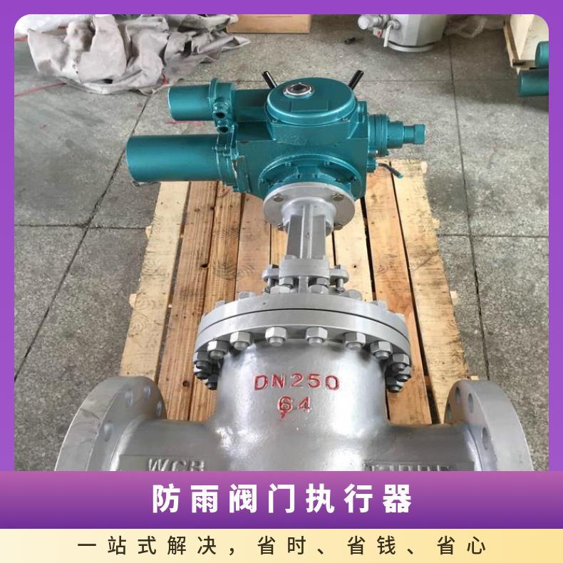 200NM阀门电动执行器 DZW系列调节型执行机构