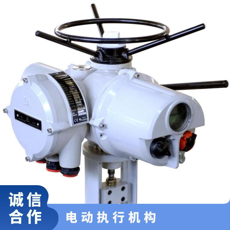 IQM10FZ罗托克执行机构 70 90 其他博尔 ZB/QBDZBDQB 可以加工