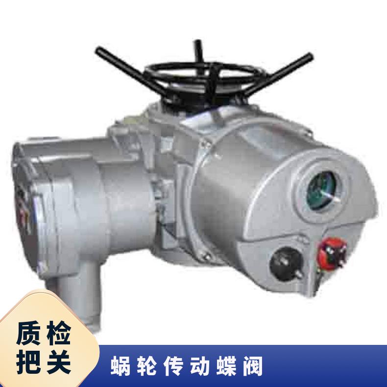 硬密封蜗轮传动蝶阀 D343H-25C DN250 DZW120-18W/z 50kg 博尔电
