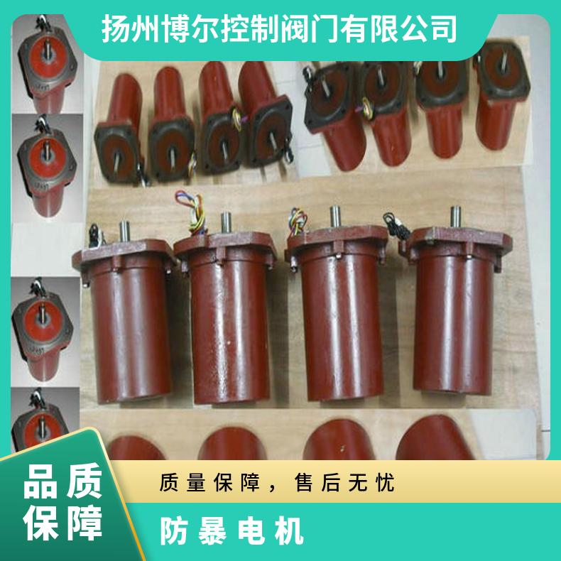 YBDF-WF-211-4阀门防暴电机 YBDF-212W ZB/QBDZBDQB 其他博尔