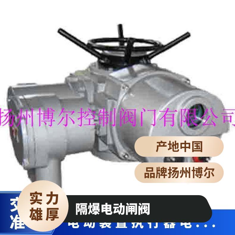 DZW5电动装置 隔爆型 户外 QH 法兰 ZB/QBDZBDQB 其他博尔