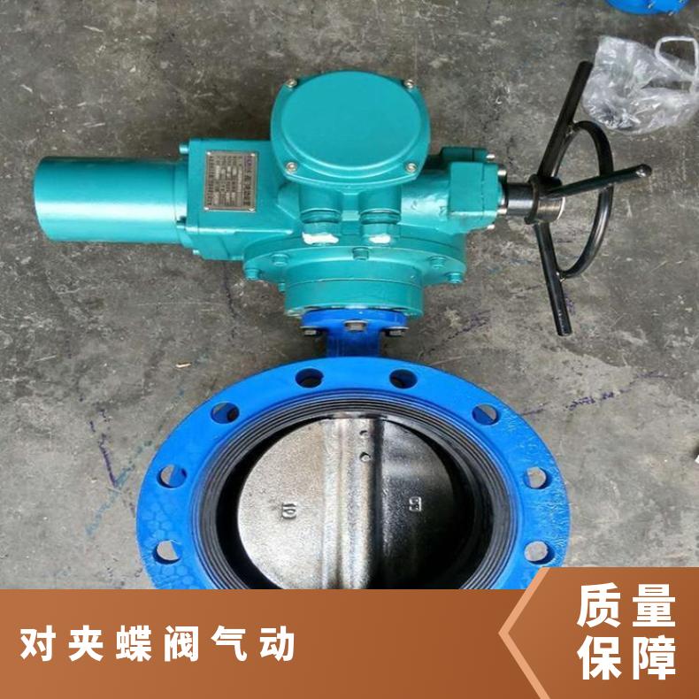 671F46气动衬氟对夹蝶阀 蒸汽 博尔 国标 水 否 D341X