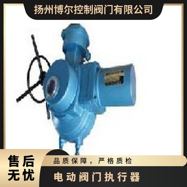 200电动装置 120头 250执行器 ZB/QBDZBDQB 可以加工 其他博尔
