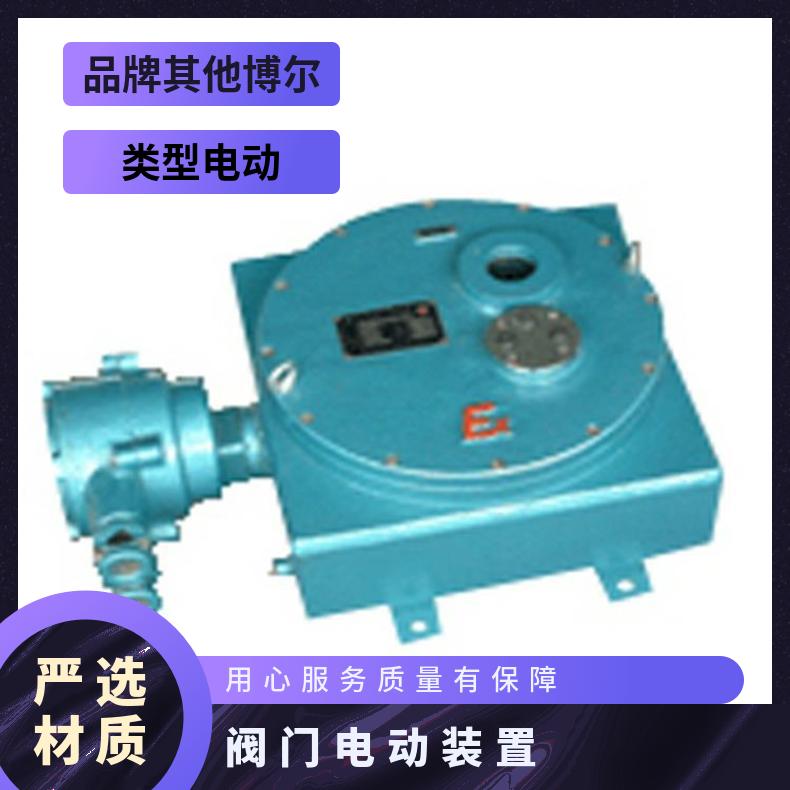 Z-18W阀门电动装置 DZW-24多回转执行器 其他博尔 2SQ30DKJ/ZKJ