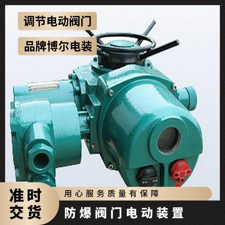 阀门装置 防爆电动DZB 系列隔爆 是 200mm 博尔电装