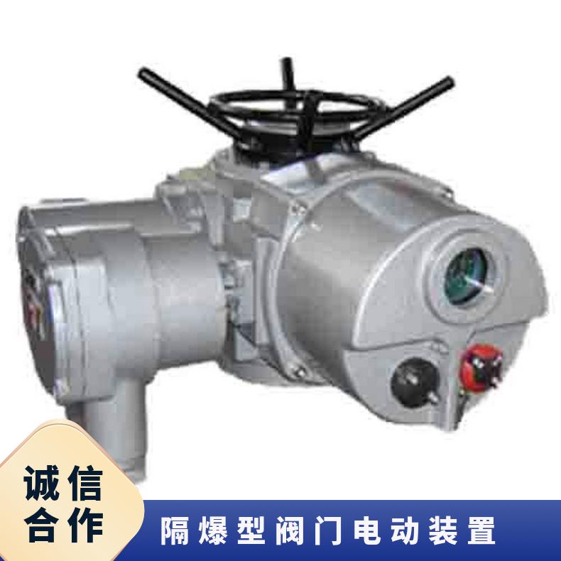 隔爆型阀门电动装置DZB10 15 20 博尔电装 50kg 是 380/220660