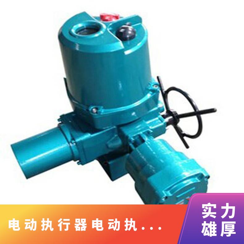 40-1阀门电动装置执行机构 ZB/QBDZBDQB 5kg~500kg 其他博尔