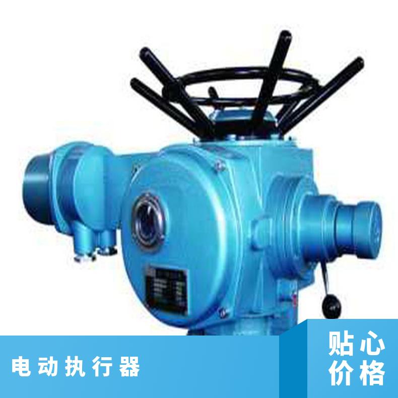 电动截止阀执行器 10-18普通开关型装置 DZW/ZWZB 其他博尔