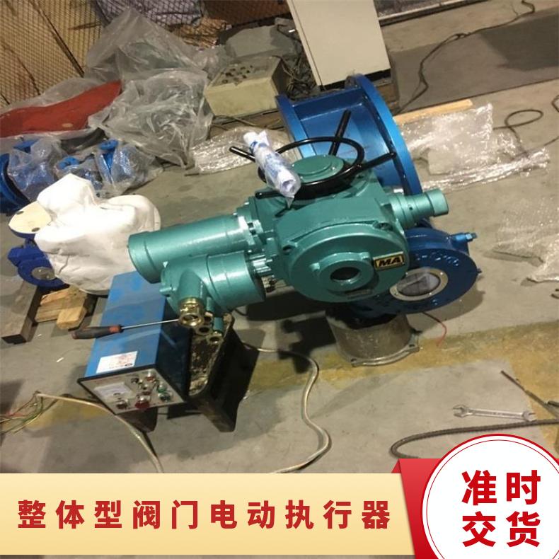 DZT20-18 30 9024 整体型电动执行器 博尔 水 HZ45 否