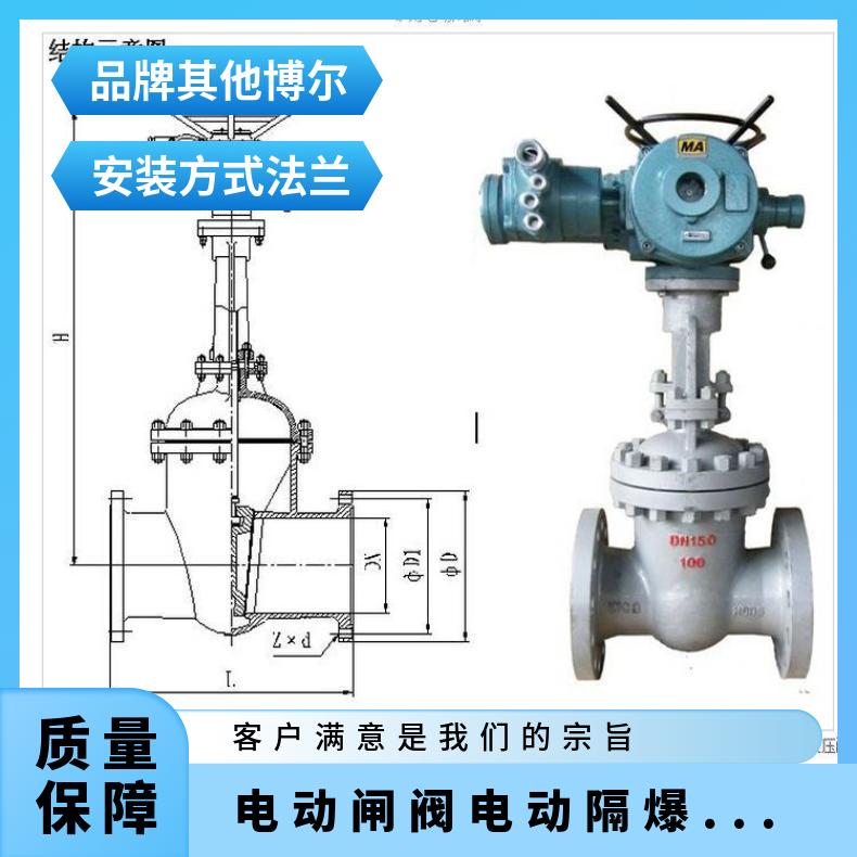 电动闸阀 Z941H/W-16 博尔隔爆闸阀Z9B41H-25CDN200