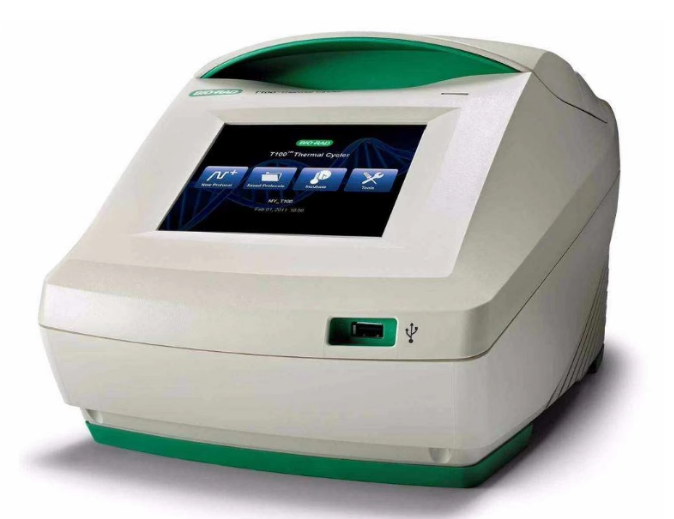 伯乐T100 梯度PCR仪热循环仪 基因扩增仪 PCR t100 pcr仪