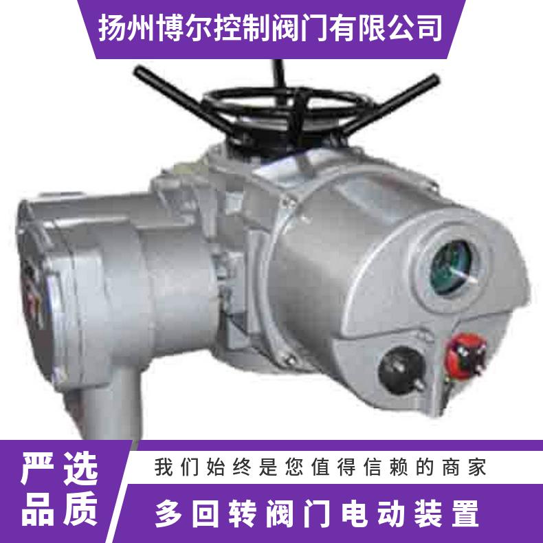 阀门电动装置DZWZZ10、Z20 380/220660 是 博尔电装 50kg