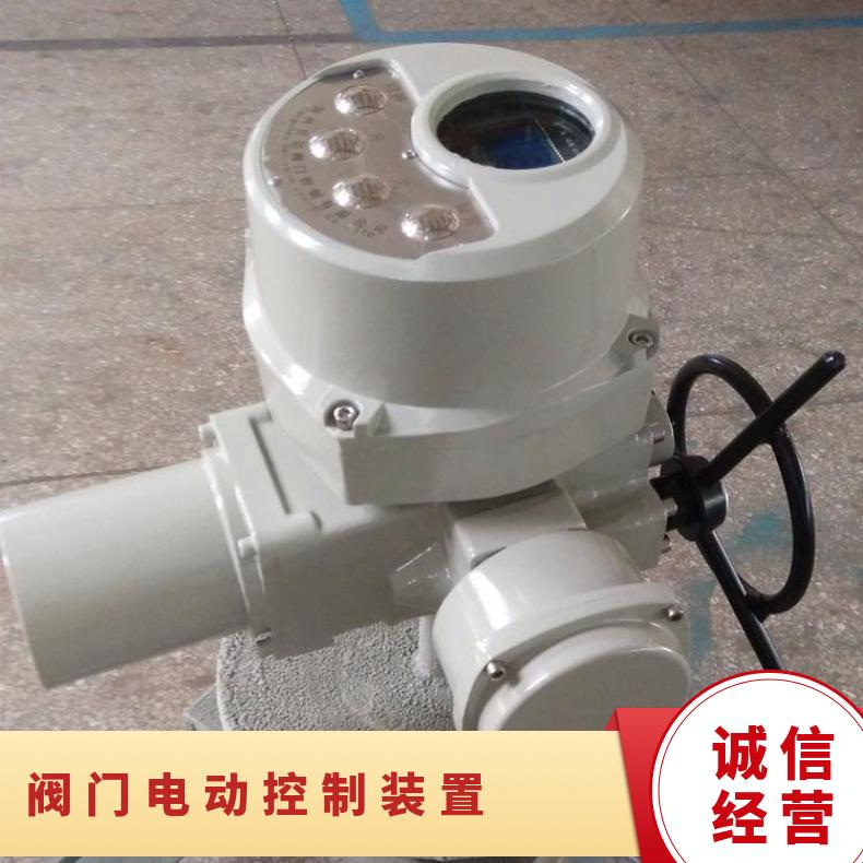 dqw10电动装置 - 20 法兰 2SQ30DKJ/ZKJ 可以加工 其他博尔