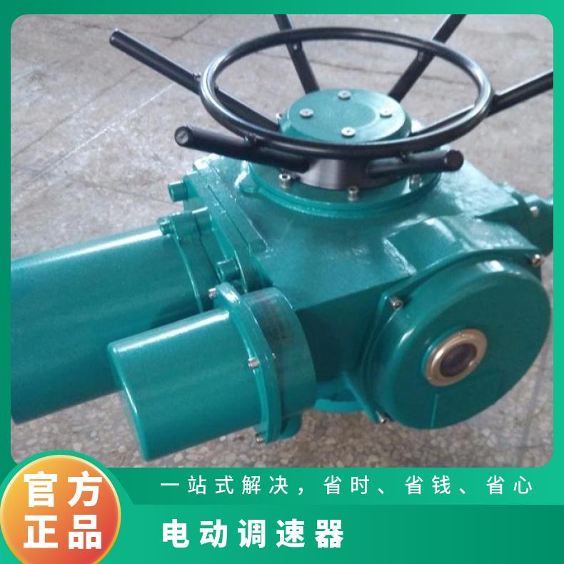 SDZ456090120水轮机电动调速器 其他博尔 ZB/QBDZBDQB