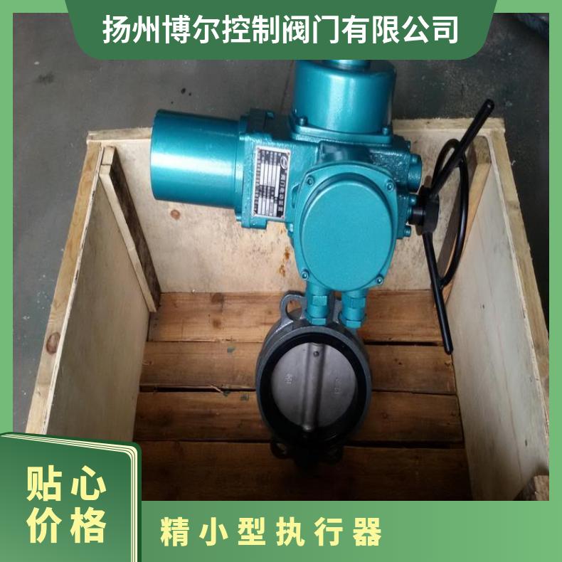 精小型电动执行器BR-16R带电位器 其他博尔 DZW/ZWZB 100-1000