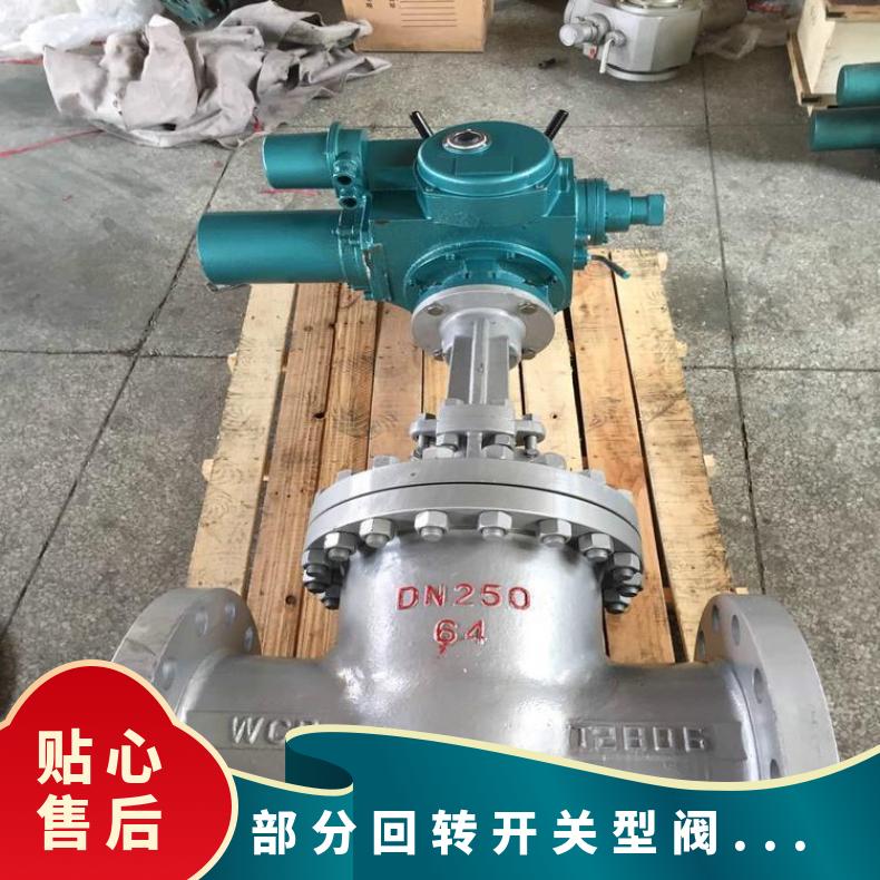 DQW250一体化开关型部分回转电动执行器 DZW/ZWZB 其他博尔 法兰