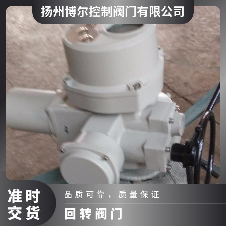 Q120-0.5W电动装置 DQW-W九十度回转 法兰 其他博尔 2SQ30DKJ/ZKJ
