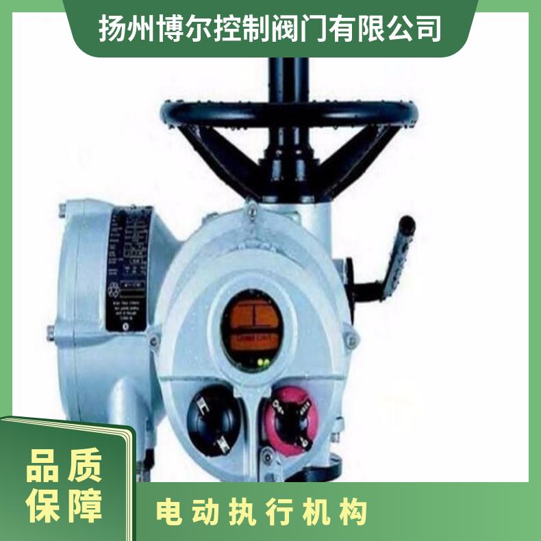 IQM10FB罗托克电动执行机构 250F执行器 其他博尔 ZB/QBDZBDQB