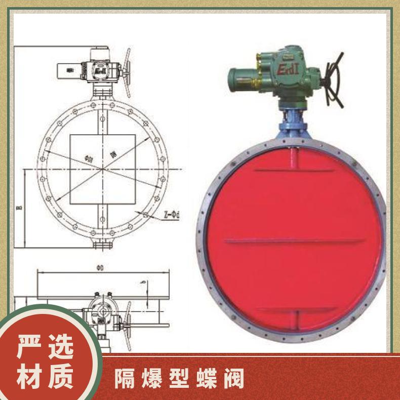 D9B41H-16C矿用隔爆型电动蝶阀 其他博尔 ZB/QBDZBDQB 100-1000