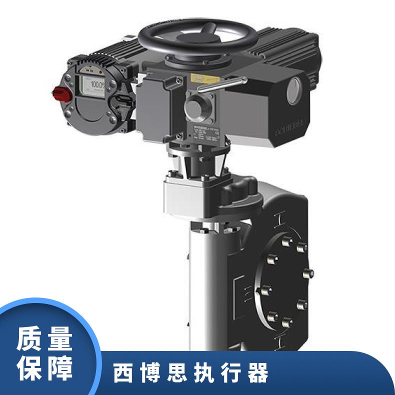 西贝电动执行器RAB5E40+QS80R-150WXB DZW/ZWZB 法兰 其他博尔