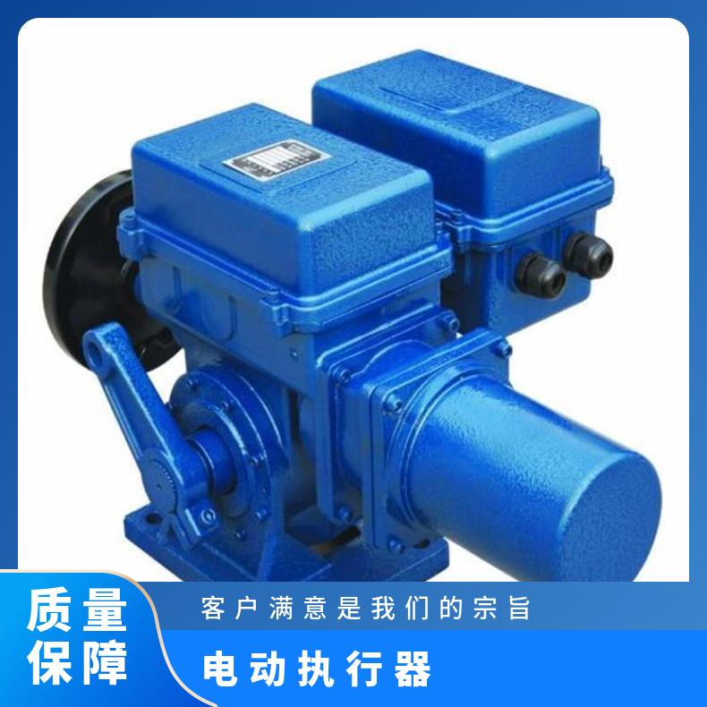 RJ4000/K65 F40 水泥厂电动执行器 博尔 否 工业 黑色 HZ45