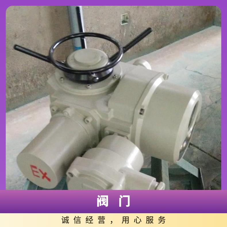 DZW15-24W闸阀电动执行器 截止阀器 150Nm多回转装置