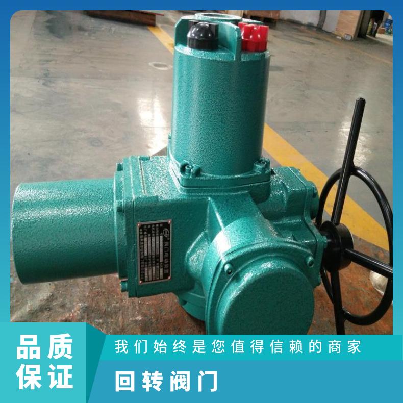 DQW-Z智能型部分回转电动执行器 600NM阀门驱动装置