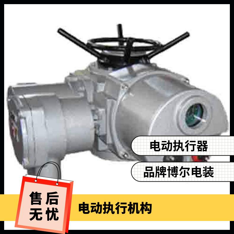 2SA301 3012 2302电动执行器 DZW120-18W/z 50kg 博尔电装 是