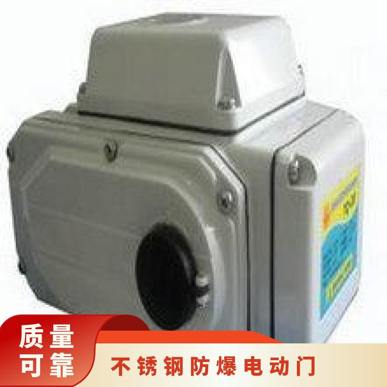 电动门DCL-200E F G H 其他博尔 可以加工 100-1000 ZB/QBDZBDQB