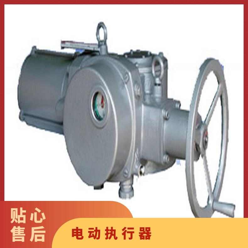 罗托克执行器IQ40阀门装置70 其他博尔 电动 ZB/QBDZBDQB 法兰