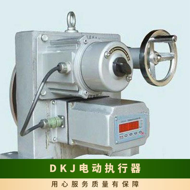 DKJ电动执行机构 法兰 可以加工 5kg~500kg 其他博尔 阀门