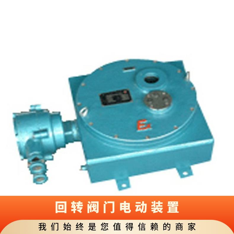 多回转电动执行器DZW10-A00-WK 15阀门装置 其他博尔 2SQ30DKJ/ZK
