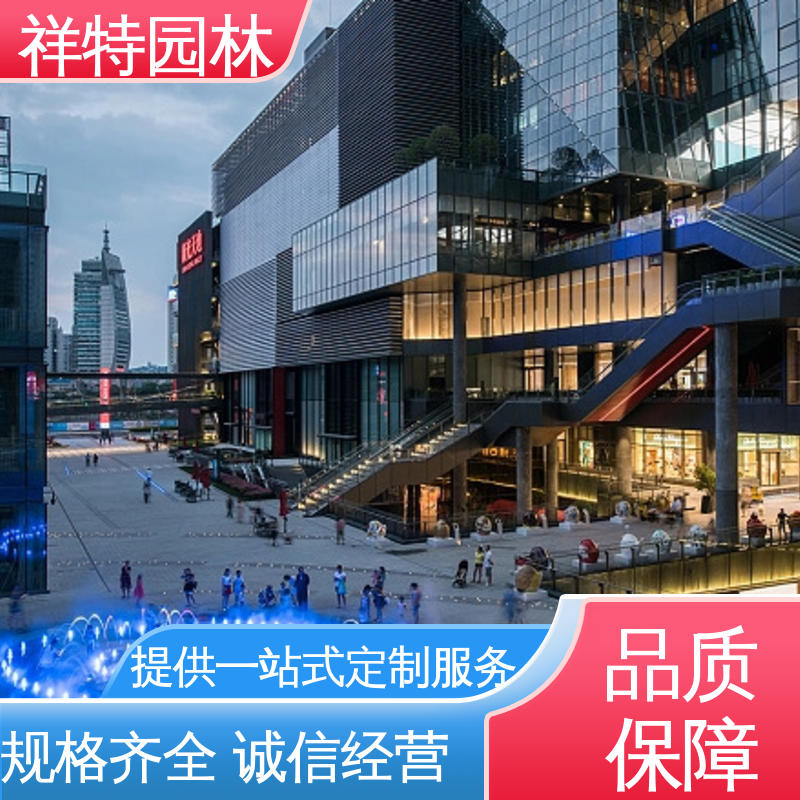 大型广场水幕景观 造型优美 运行平稳 商业街音乐喷泉 祥特
