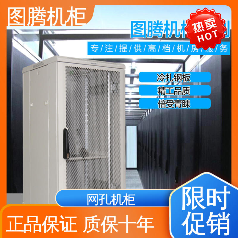 机柜定制G36637 机房设备 弱电 交换机 标准机柜 图腾TOTEN