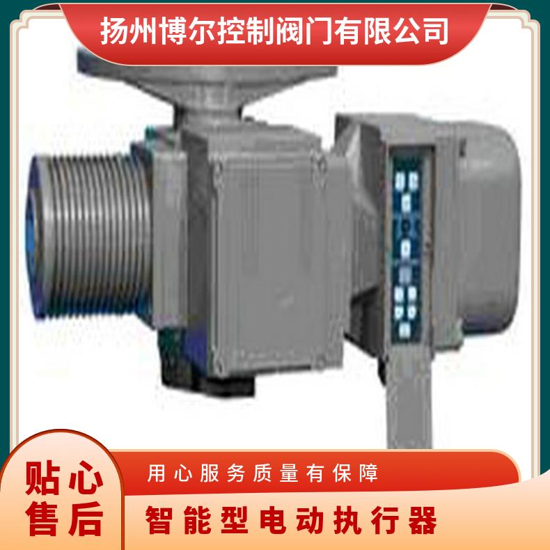 2SA3021+LK智能型电动执行器 5kg~500kg 可以加工 法兰 其他博尔