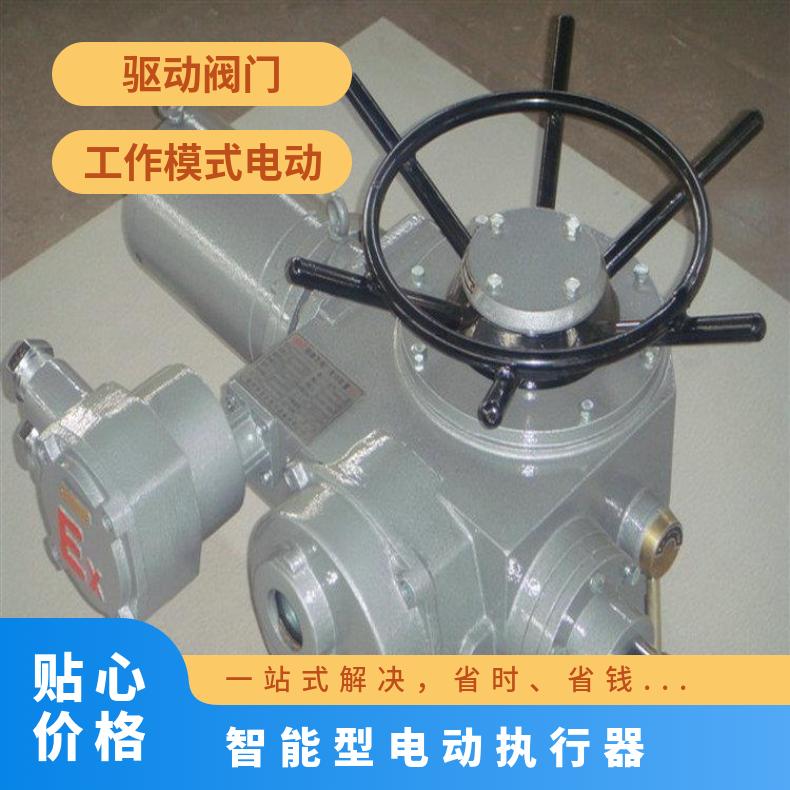 智能型电动执行器生产商 DZW10开关型阀门驱动装置