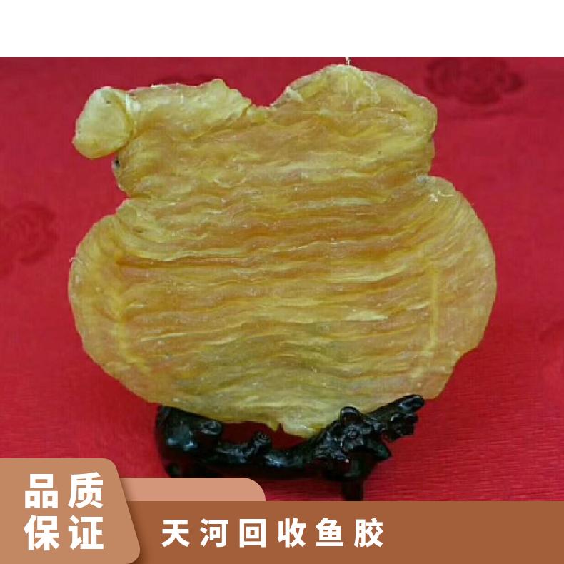 高价回收鱼胶 冬虫夏草燕窝海参 收购茅台酒洋酒红酒五粮液