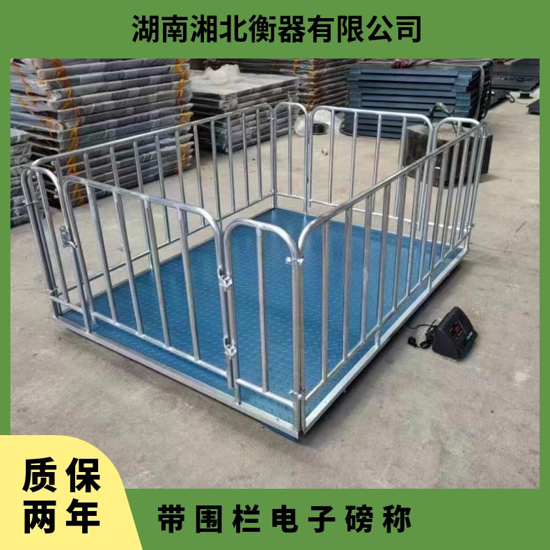 带围栏电子磅称1.5x0.8m 1吨养殖畜牧秤 2t猪牛羊牲畜称重电子秤