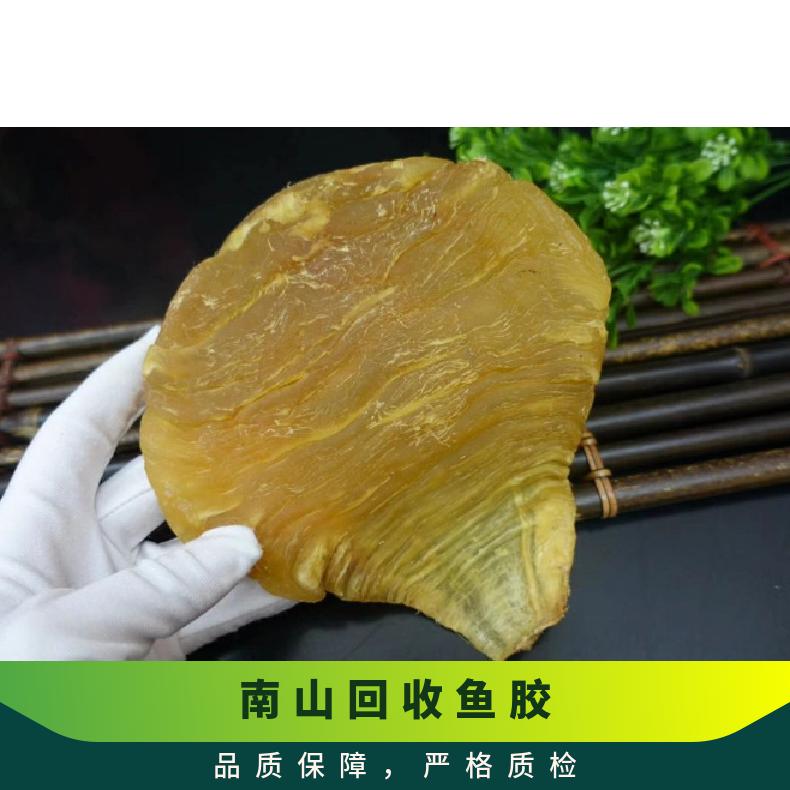 上门回收鱼胶 马爹利xo 保质期10 盒装 度数53 通风