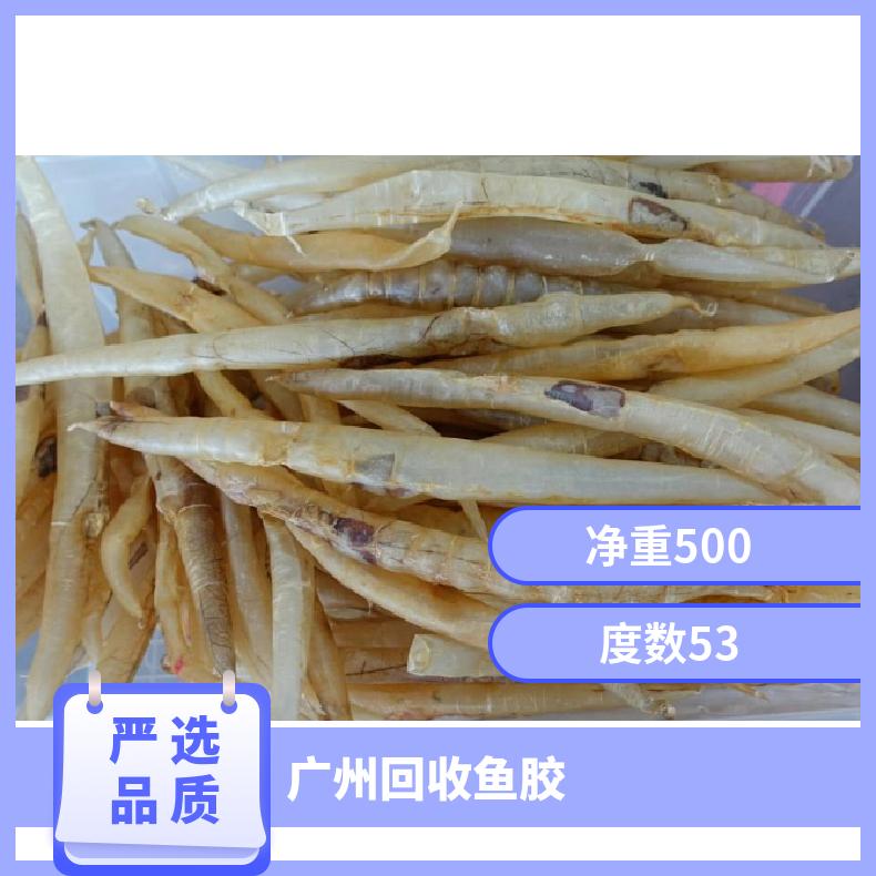 回收鱼胶 净重500 酒精含量10 通风 马爹利xo 盒装