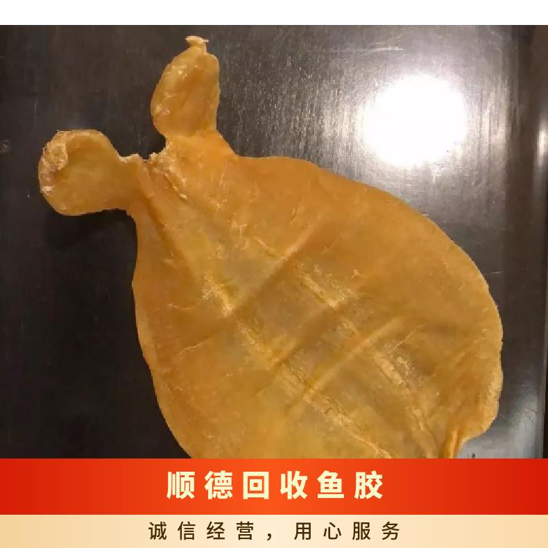 顺德回收鱼胶冬虫夏草 高价收购茅台酒洋酒红酒五粮液