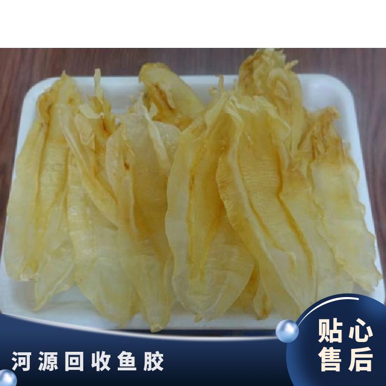 河 源回收鱼胶 保质期10 盒装 通风 客户至上 24小时可上门
