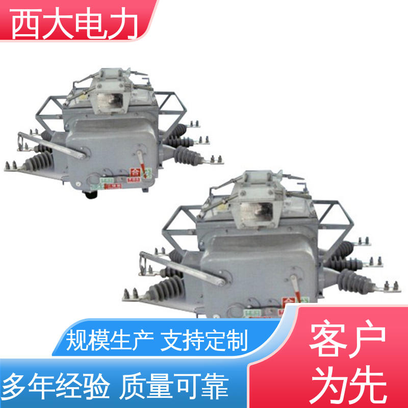 西大电力 型号和资质齐全 ZW20-12F/630 分界户外高压真空断路器